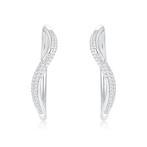 S-Signature grand modèle